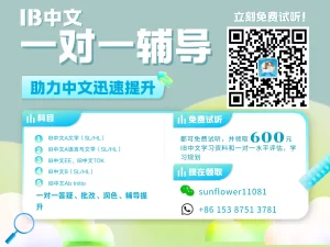 eChineseLearning在线IB中文一对一辅导|免费试听|IB中文最新备考资料免费领取!